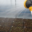 수리농장 이미지