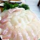 한회목장 티스토리