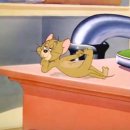 Tom and Jerry 이미지