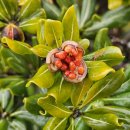 큰엉(남원관광지구) 이미지