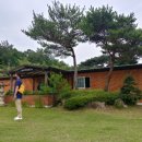 길성식품 네이버블로그