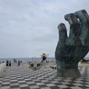 구룡포고고수산 | 포항 호미곶·구룡포시장 당일치기 코스｜상생의 손부터 먹거리까지
