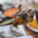 영해식당 이미지