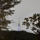 서울특별시 중부수도사업소 | 서울 가볼만한곳 랜드마크 케데헌 장소 남산 둘레길 야간산행 (feat. 서울시 중부공원녹지사업소)