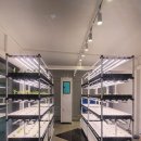 태양팜 | 필리핀- 스마트팜 설치 후기