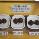 귀족호도박물관 이미지