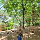 정발산공원 이미지