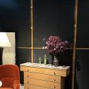 코모드(commode)