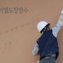 도막