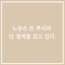 뿌리와열매