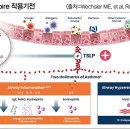 최초의 항-TSLP 기전 천식치료제 테즈파이어 프리필드시린지/오토인젝터주 이미지