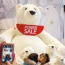 현대화이트 이미지