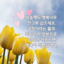 행복한 나무