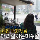 디지털 세팅 펌 잘하는곳 정자동 미용실 시언부원장 님