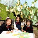 서강어린이공원 앞 이미지