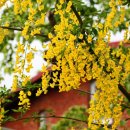 황금산업 이미지