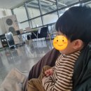 무료영화상영(토이스토리 1) 이미지