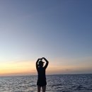 하트 Daum카페