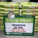 가톨릭안과의원 이미지