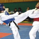 강진태권도체육관 이미지