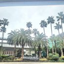 청안메디칼 이미지