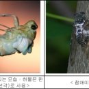 들과숲속에 이미지