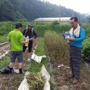 여름소풍 이미지