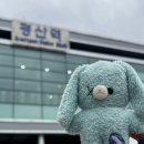 서울러가 지방으로 엑디즈 라이브온 콘서트 다녀온 후기, 생애 첫 경산 방문 (feat. 국정)