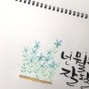 그림과캘리그라피 이미지