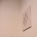 테이저(TAZER) 이미지