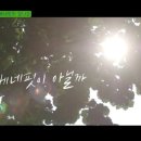 포켓-일상 이미지