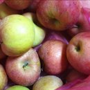 와촌농장 이미지