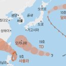 태풍이네 이미지