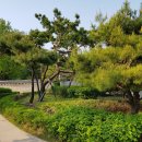 종묘주차장 옆 이미지