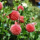 삼일가든 이미지