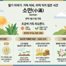 [소만] 차오르는 계절에 텃밭에서는 이미지