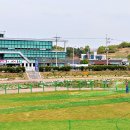 도평동 행정복지센터 이미지