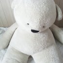 큰옷통통 | [생활] 트롬곰인형 세탁