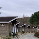 샴프네집 | 강원 춘천 가을 통나무집 감성 숙소 비바테 6번방 후기, VIBATE .•♥