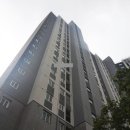 그린힐 티스토리