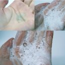 현대아산약품 | [피토페시아]헤어부스팅 샴푸/스칼프 에센스_두피샴푸 추천, 탈모방지샴푸, 지루성두피염샴푸, 두피관리...