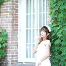 다모 이미지