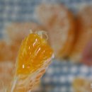 택양농장 이미지