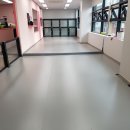 댕댕이 카페 이미지