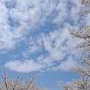 홍산농약 이미지