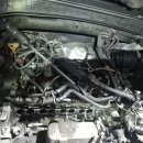 맥스모터스 이미지