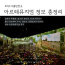 파도짐 | 여수 아르떼뮤지엄 후기 | 할인 정보부터 주차·짐보관·포토존까지