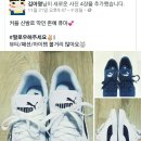 에버세이브르꼬끄