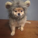 웨그앤코 이미지