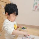 눈결정체 꾸미기 이미지